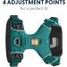 Ruffwear Front Range Dog Harness XXS - Reflective Adjustable & Comfortable for Daily Walks - No Pulling Aurora Teal - Buy Online on GoSupps.com