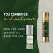 Tree of Life Vitamin C Brightening Facial Moisturizer Cream with Vitamin E and Aloe Vera - Dermatologist-Tested Skin Care - 1.7 Fl Oz - Buy Online on GoSupps.com