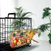 Wellensing Colorful Wavy Toy Accessories for Parrots - Edible Seagrass Climbing Playground Hammock Mat - International Shipping - Buy Online on GoSupps.com