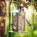 Paul's M hle Wild Bird Food - 10 kg for Breeding & Rearing | Premium Bird Feed - International Shipping - Buy Online on GoSupps.com