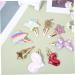 minkissy 8 Pairs Cute Hair Clips for Girls Barrettes for Kids Girls Hair Clips Hair Clips for Babies Star Hair Clips Christmas Hair Barrettes Cute Bobby Pin Issue Card Crown Alloy Baby - Buy Online on GoSupps.com