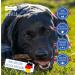 Mervela D rrfleisch for Dogs 2kg | 100% Natural Beef Dry Meat Snack | Healthy German Dog Treats - Buy Online on GoSupps.com