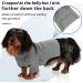 Convinit Dog Sweater for Small & Medium Dogs - Winter Warm Roll Collar Knitted Sweater for Chihuahua Dachshund French Bulldog | Gray - Buy Online on GoSupps.com