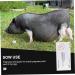 Buy Healeved 2st Pregnant Tester Tool - Colloidal Progesterone Test Paper for Cattle & Pigs | Plastic White Test Paper | Fast International Shipping - Buy Online on GoSupps.com