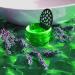 Lensbix Contact Lens Case - Innovative & Stylish Storage for Contact Lens Wearers | Perfect Gift in Green Deer Color - Buy Online on GoSupps.com