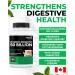 RENEW ACTIVES Probiotics for Women 50 Billion CFU per 2 Capsules MAKTREK Technology 4 Probiotic Strains & Prebiotic Blend Supports Digestion Health & Gut Flora Balance Made in Canada 60 Capsules - Buy Online on GoSupps.com