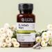 Nature's Sunshine St John's Wort T/R 60 Tablets | Mood Support & Well-Being Enhancement - Buy Online on GoSupps.com