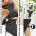 BDSHUNBF Dog Harness Large Dog No Pull Pet Harness with 2 Leash Clips Anti Pull Dog Harness Adjustable Soft Padded Pet Vest Harness Reflective No-Choke with Easy Control Handle for Training Walking - Buy Online on GoSupps.com