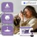 Alfavet Reconvales Antiphos - Kidney Support for Cats & Dogs | Nutritional Supplements with Phosphate Binders - 3 x 90ml Bottles - Buy Online on GoSupps.com
