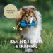 Rudelk nig Dog Food Bag - Durable Retrieving Bag for Training | Basic Blue - Buy Online on GoSupps.com