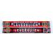 Buy Generic Leverkusen Championship Scarf 2024 | Knitted Scarf for Fans | International Shipping Available - Buy Online on GoSupps.com