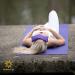 Scented Low Luster Sateen Eye Pillows - 4 Pack with Removable Cover in Purple - Buy Online on GoSupps.com