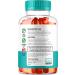 (2 Pack) Keto Raw Gummies - Keto Raw Advanced ACV Gummys Keto Raw ACV Gummy 1050MG - All Natural Keto Raw Apple Cider Vinegar Keto Raw Plus ACV Gummys 120 Gummies for 2 Months - Buy Online on GoSupps.com