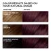 L'Oreal Paris Feria Chocolate Cherry Hair Color 2-Pack - Deep Burgundy Brown - Buy Online on GoSupps.com