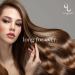Evercaddy Portable Hair Extension Holder | Securely Store, Wash, and Style 100% Human Hair Extensions - Ideal for Clip-ins, Halos, and Wefts - Buy Online on GoSupps.com
