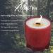 Wood Wicked Candles for Men - 8.8oz Aromatherapy Sandalwood Scented Candle | All-Natural Soy | 50hr Burn Time | Sleep Relaxation - Buy Online on GoSupps.com