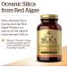 Solgar Oceanic Silica from Red Algae - 100 Vegan Capsules for Healthy Skin & Hair - Buy Online on GoSupps.com