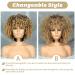 Xinran 14 Blonde Curly Afro Wig for Black Women - Brown to Blonde Mix - Synthetic 70s Kinky Afro Wig - Buy Online on GoSupps.com