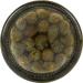 Goya Capers Spanish Nonpareils 2.5 oz - Premium Quality Mediterranean Capers - Buy Online on GoSupps.com