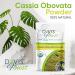 Davis Finest Cassia Obovata Powder 100g - Ayurvedic Hair Mask for Strengthening, Volumizing, and Conditioning Blonde Hair - Semi-Permanent Shine Dye - Pack of 1 - Buy Online on GoSupps.com
