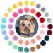 Qearl 48 Pcs Colored Ball Dog Ties Small Dog Bows - Pet Grooming Hair Accessories for Puppy & Cat - Buy Online on GoSupps.com
