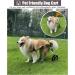 Dog Wheelchair Dog Wheelchair for Back Legs Walk Tool Adjustable Pet Wheelchair Assisted Walker Tool Pet Wheelchair Portable XX-Large - Buy Online on GoSupps.com