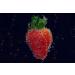 Buy Food-United Camarossa Mara Bois Strawberry Puree 2x1kg - Premium Quality for Smoothies Sorbets and More - Fast International Shipping - Buy Online on GoSupps.com
