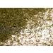 Gourmanity 1lb Dill Weed: Bulk Dried Seasoning - Kosher, Non-GMO, Non-Irradiated - Buy Online on GoSupps.com