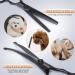 Dog Care Scissor Set - GEK 6 in 1 Professional Titanium-Coated Safety Scissors for Dogs & Cats - Buy Online on GoSupps.com