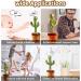 Dancing Cactus Toy for Kids | Interactive Talking Plush Cactus | Repeat & Glow | Sing & Dance | Ages 1-8 - Buy Online on GoSupps.com