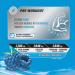 Pre Workout Powder with Creatine HCL Beta Alanine L Citrulline Explosive Energy and Performance Icy Blue Razz Flavour 100% Clean: No Added Sugar Artificial Colours or Flavours - 170g - Buy Online on GoSupps.com