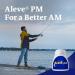 Aleve PM Pain Reliever Nighttime Sleep-Aid Caplets 20 ea (Pack of 2) - Buy Online on GoSupps.com
