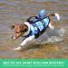 Cit toile Camouflage Life Jacket for Dogs | Small Medium & Large | Shark Design Handle & Reflective Safety | Ideal for Swimming in Sea Lake & River - Buy Online on GoSupps.com