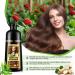 CCKULOOB Hair dye black hair color shampoo 3in1 hair color shampoo with herbal extracts natural coverage of gray hair Hair Color shampoo for dry hair long lasting 500 ml chestnut brown - Buy Online on GoSupps.com