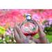 Sapil Chichi - Eau De Toilette and Deodorant Spray For Women - Delightfully Enchanting Fragrance - Opens with Fruity Notes - Beautiful Giftset Box - Perfect for Gift Giving Occasion - 2 Pc - Buy Online on GoSupps.com