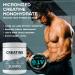 SURPO Micronized Creatine Monohydrate Powder - 300g | Pure Unflavored Gluten-Free & Non-GMO | 60 Servings for Muscle Recovery & Growth | International Shipping Available - Buy Online on GoSupps.com