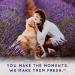 SPA Lavish Shampoo for Pets 16 oz - Made in USA - Soap Free - Luxury Bathing - For Him | TropiClean - Buy Online on GoSupps.com