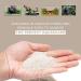 Ultum Nature Systems Controsand Bora Aquarium Sand (3L) - Aquarium Sand for Freshwater Tank - Substrate for Live Freshwater Shrimp - Substrate for Planted Aquarium - Versatile Aquarium Substrate - Buy Online on GoSupps.com