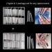 Elevate Your Nail Game with 480PCS XL Clear Nail Tips - Half Cover Coffin & C Curve for Acrylic Nails - Professional Quality for Salons & Home Use - Buy Online on GoSupps.com