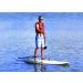 AIRHEAD SUP Training Wheels Set - White - Buy Online on GoSupps.com
