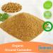 Certified Organic Ground Coriander 40g - Fenbrook Organic - Buy Online on GoSupps.com
