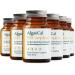 ALGAECAL 4-in-1 Vitamin D3 K2 Complete - ADK Vitamin Supplement Enhanced Immune Support & Bone Health with D3 K2 A & E - Whole Body Wellness & Bone Strength Easy-Swallow Softgels 6 Month Supply