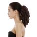 Shop WIG ME UP 2213-HT-33 Hairpiece - Victorian Braid Curls & Corkscrew Curls in Mahogany Brown | International Shipping Available - Buy Online on GoSupps.com