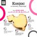 Invisible Beast Natural Konjac Facial Sponge Set - Gentle Exfoliating Skincare Tool for Acne-Prone, Oily, Dry, Sensitive Skin - Activated Charcoal and Rose - 2pc Organic Set - Buy Online on GoSupps.com