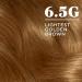 Clairol Nice'n Easy 6.5G Lightest Golden Brown Hair Dye - Pack of 3 | 6.26 Fl Oz (x3) - Buy Online on GoSupps.com