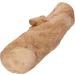 goodWood Chewable Wood Stick For Dogs - Large - Buy Online on GoSupps.com