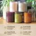 Paddywax Firefly Candle Co. En Plein Air - Sweet Olive Leaf Scented Candle 10oz Soy Wax Blend in Reusable Glass Jar for Home Fragrance & Aromatherapy - Buy Online on GoSupps.com