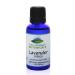 Lavender (Lavendula Angustifolia) French Essential Oil - 100% Pure Natural & Kosher - 1 fl oz Bottle
