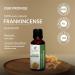 100% Pure Frankincense Oil (Boswellia Carteri) - Undiluted Therapeutic Essential Oil - 30ml (1.01 Fl.Oz) for Natural Wellness - Buy Online on GoSupps.com