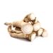 Fresh horseradish | Horseradish - 2nd class for the horse (1000 g) 1 kg (1 pack)